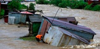 Фото (с) lospet.ru