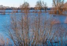 Фото (с) МТС