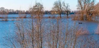 Фото (с) МТС