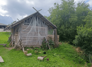 домик деревня изба. Фото (с) Татьяна Барышева