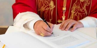 Фото (с) Vatican Media