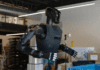 Фото (с) foundation.bot