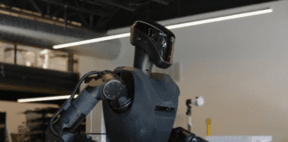 Фото (с) foundation.bot