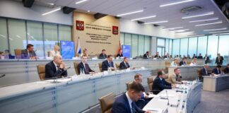 Комиссия Госсовета. (с) правительство Московской области