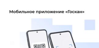 Госкан (с) Минцифры