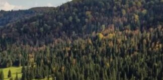 Фото (с) Минцифры Республики Башкортостан