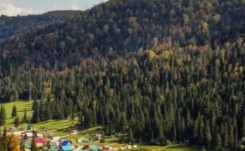 Фото (с) Минцифры Республики Башкортостан