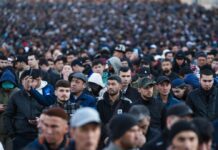 мигранты (с) СпасТВ