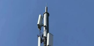Фото (с) Минцифры Нижегородской области